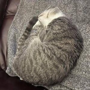 Meet your Posher, Lydia